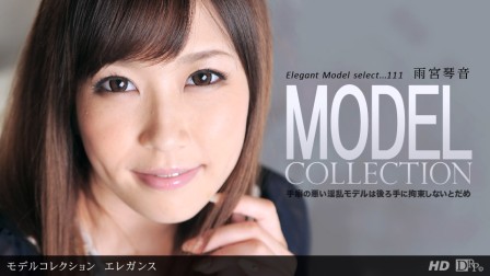 model collection111